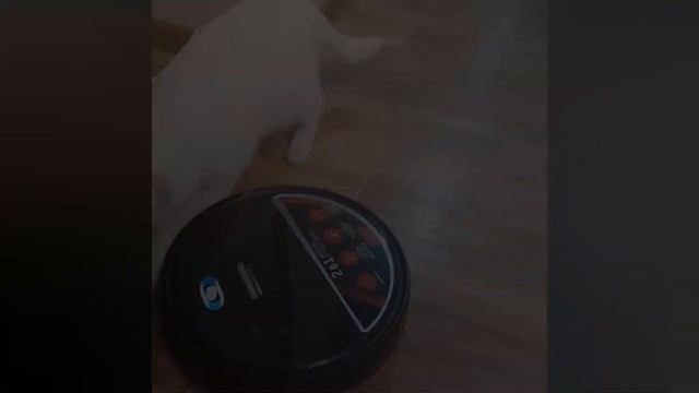 Отзывы о роботе пылесосе REDMOND RV-R560