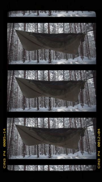 #shorts гамак Rebel Gears