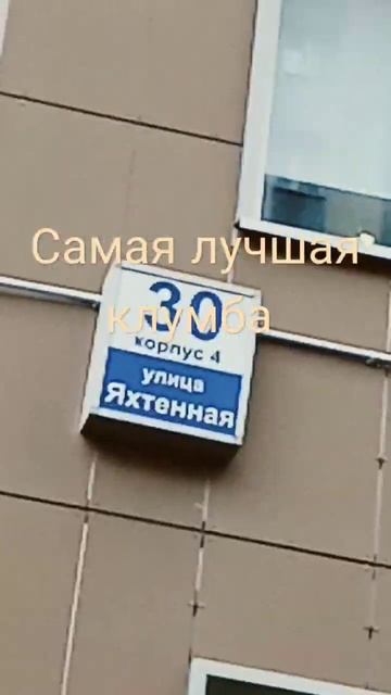 Яхтенная ул. д. 30 самые красивые клумбы #sports