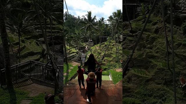 Качели в джунгях 1часть #travel #путешествия #своимходом #? смотреть онлайн