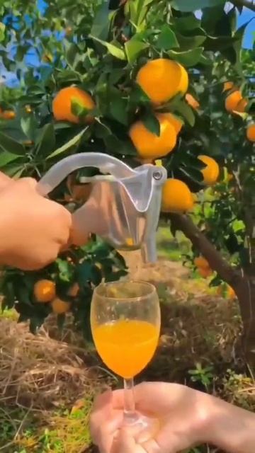 для сок аппарат смотреть онлайн