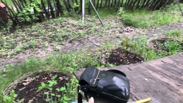 Намечаю себе план работ на участке. Перебираю семена смотреть онлайн