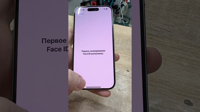 IMG_2916 смотреть онлайн