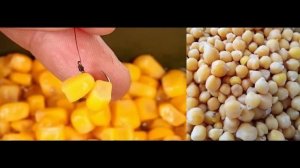 Как ловить карася летом! Секреты ловли карася летом! Л?