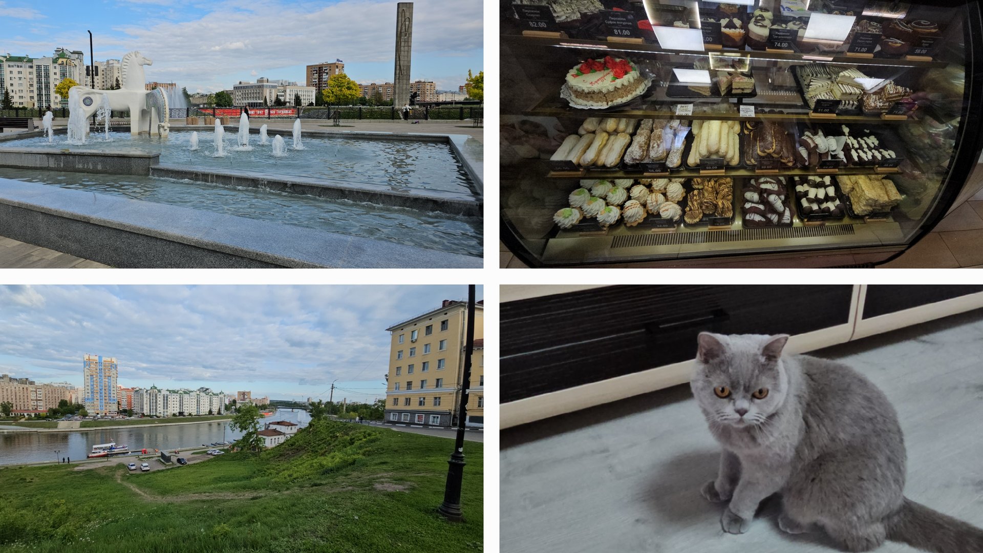 11.05.2025 г Вечерняя прогулка в Детском парке/ Забавный кот Симба смотреть онлайн