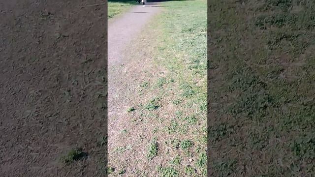 как я иду домой со школы 2 часть смотреть онлайн