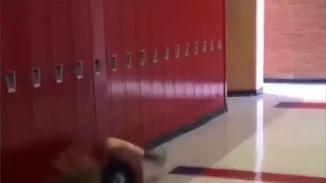 подборка прикольного видео