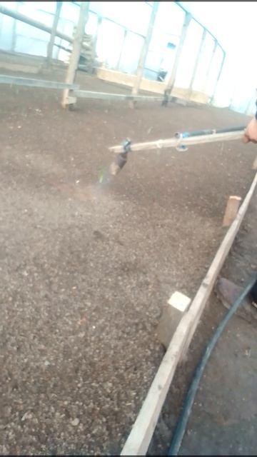 так удаляют сорняк в теплице смотреть онлайн