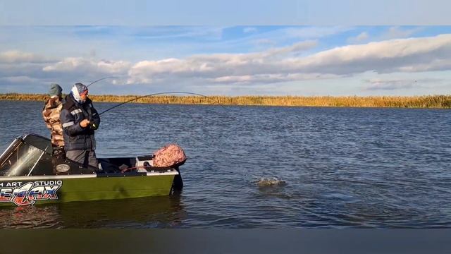 экстримальная рыбалка в Астрахани. погода судачиная ,? смотреть онлайн