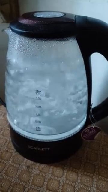 Закипела вода в чайнике #shorts