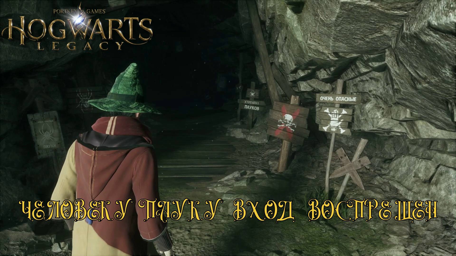 HOGWARTS LEGACY. Серия №19, "УЧАСТЬ ДОМОВОГО ЭЛЬФА" | Космонавт PLAY