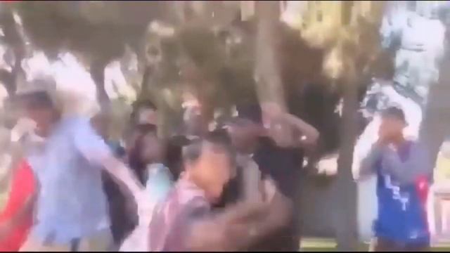 Барбоскины приколы смотреть онлайн