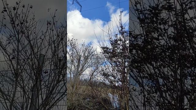 Работа в Германии. Германия работа. Кллиннинг.Уборщиц?