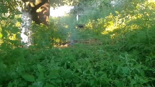 Нечого било побить виложел кто видит по приколу ну просто первое видио смотреть онлайн