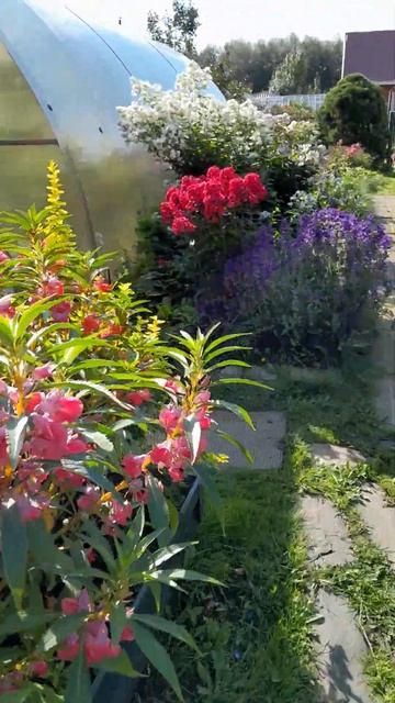 Соседский сарай портит весь вид.🤷♀️ смотреть онлайн