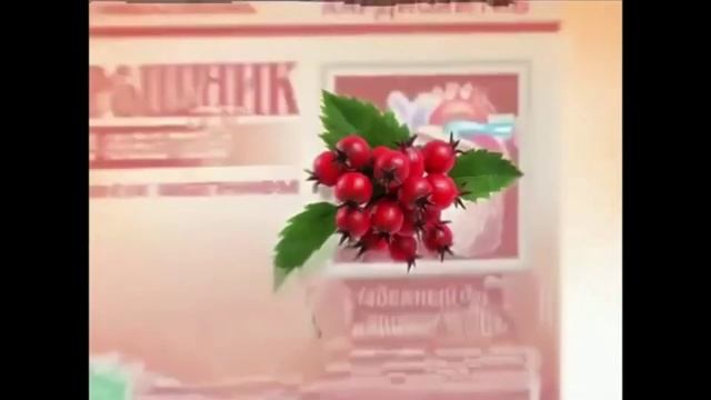 Боярышник Форте Эвалар (sped up + slowed) смотреть онлайн