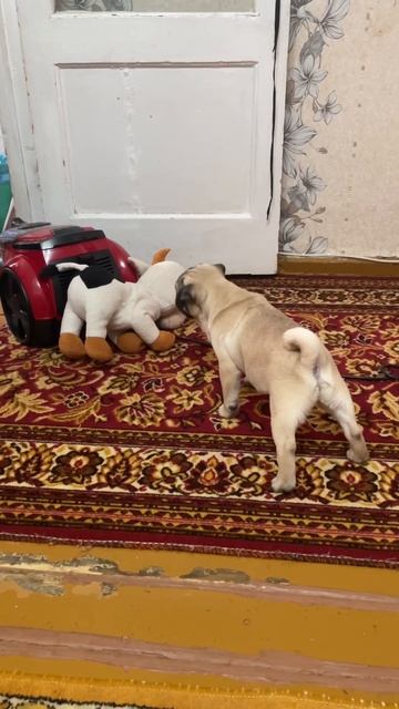 Друга засосало в пылесос смотреть онлайн