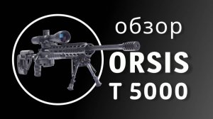 Обзор высокоточной винтовки ORSIS Т 5000