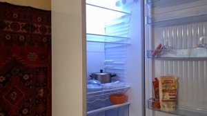 Обзор холодильника DON-R299