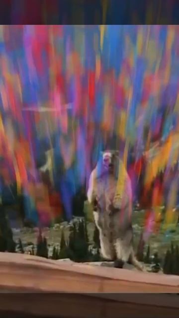 маленький прикол смотреть онлайн