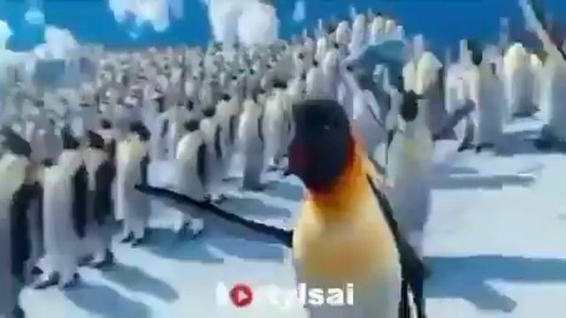 Қазақша прикол смотреть онлайн