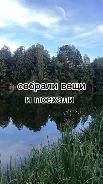 Деньги-это СВОБОДА! #заработок #доход #топ #доходвдекре смотреть онлайн