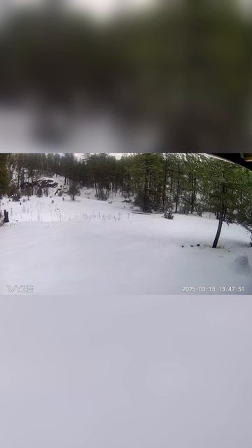 Просто супер погода на даче. А мы дома. #usa #рабочаяпоез? смотреть онлайн