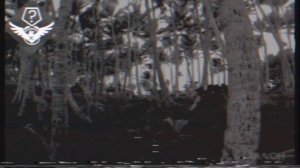 The Backrooms - Уровень 999 "Остров Бездны"