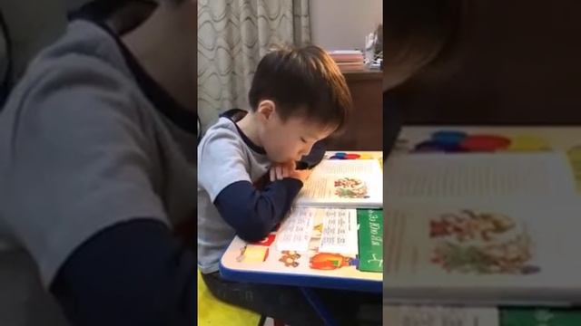 Читаем Пришвина