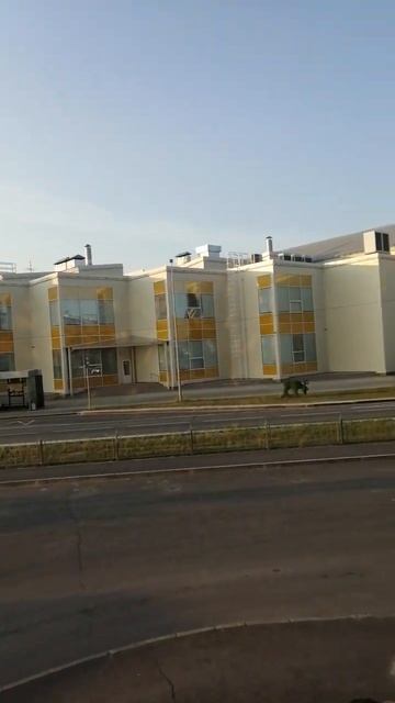 Крылечко дома Коротчаево Новый Уренгой #крайнийсевер смотреть онлайн