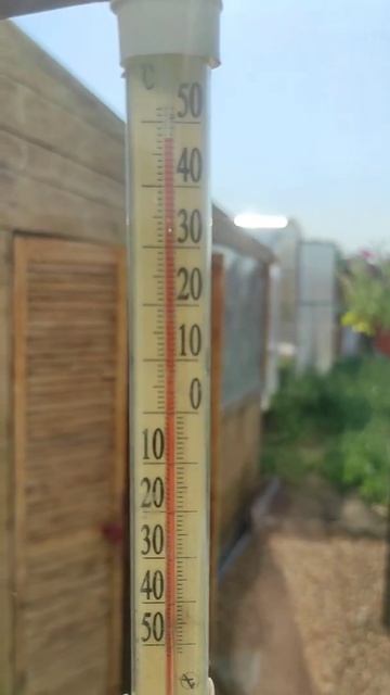 Мы как люди гриль🤣🤣🤣 смотреть онлайн