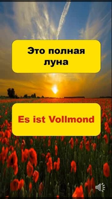 10- самые важные и популярные фразы на немецком #немецкий смотреть онлайн