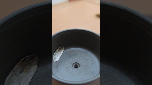 Чайник из глины, Ниссин. Ремонт кинцуги, инкрустация с?