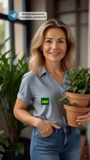 Дешевое средство для цветения из аптеки🤩#цветы #комн? смотреть онлайн