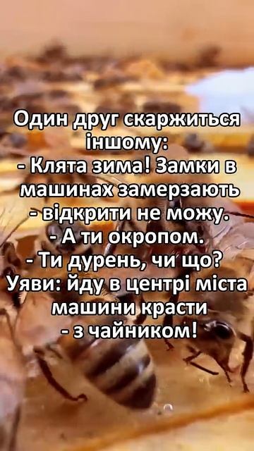 Анекдот про пораду друга #анекдот #сміх #жарти #гумор #в