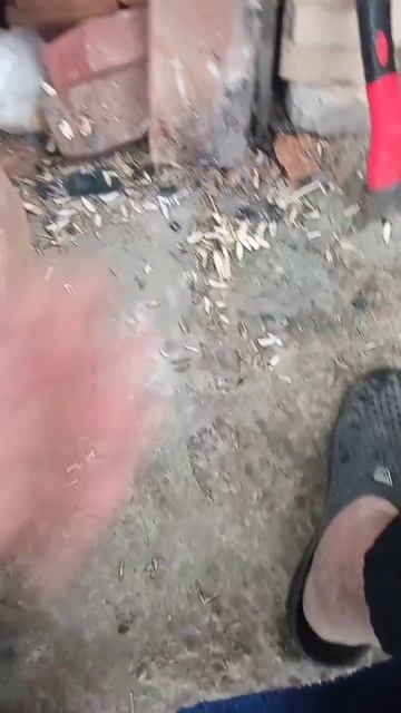 15 апреля 2025 г. смотреть онлайн