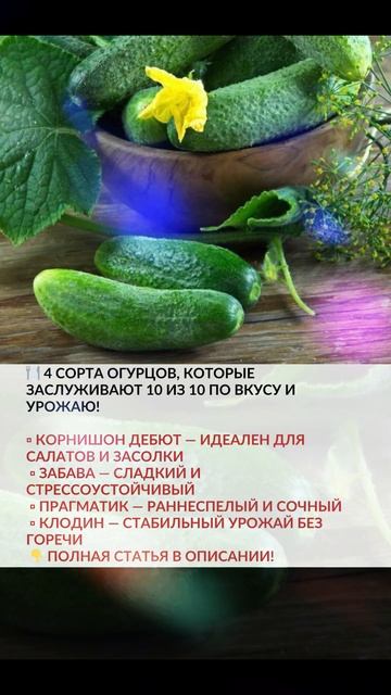 ➔ ЧИТАТЬ ПОДРОБНЕЕ... 🍽️ 4 сорта огурцов, которые засл смотреть онлайн