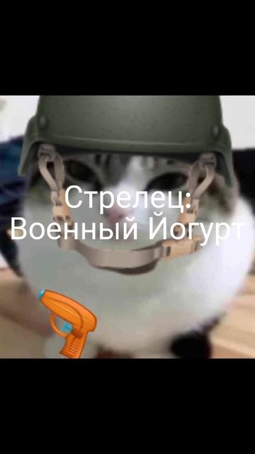 Какой Ты Йогурт? ч. 3(последняя) #подпишись #subscribe #cat #кот смотреть онлайн