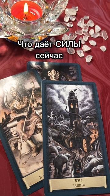 Вы выбрали себя❤ 👑❤ смотреть онлайн