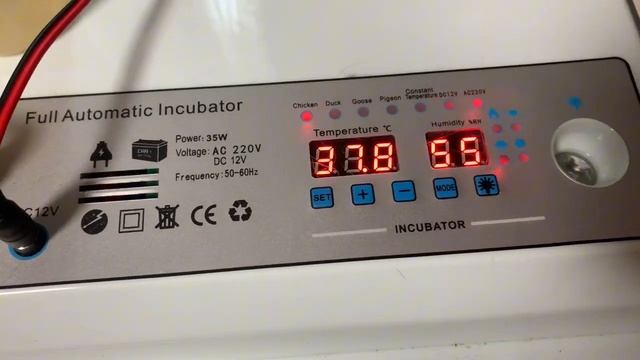 Квочка улетела🤦🏼_♀️Как мы пережили заморозки_14день инкубации в РЯБА 36 инкубатор_ 29 апреля 2025 смотреть онлайн