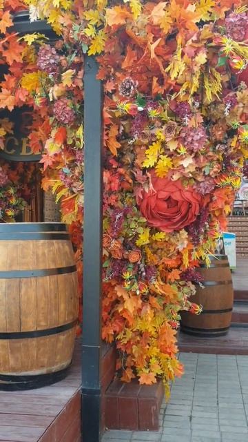 Осень пришла🍁🍂Автор Галась Ольга 2023 #стихи #осень2023 смотреть онлайн