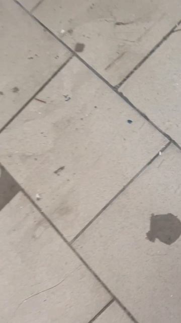 Самодельный пылесос для крупного мусорa. смотреть онлайн