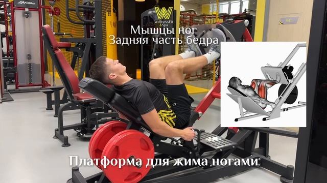 Зона тренажеров