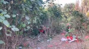 #Газонокосилка #LawnMower – с дистанционным управлением д?