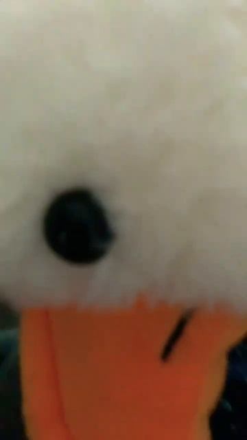 Забыл выключить утюг.песня смотреть онлайн