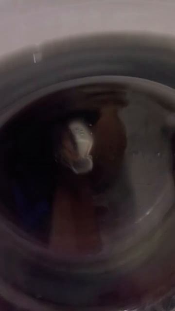 стирка цветного ( извиняюсь за носок попал во время ст? смотреть онлайн