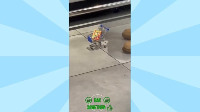 best coub video / cube compilation / funny videos / Смешные видео приколы/ Coub 3 смотреть онлайн