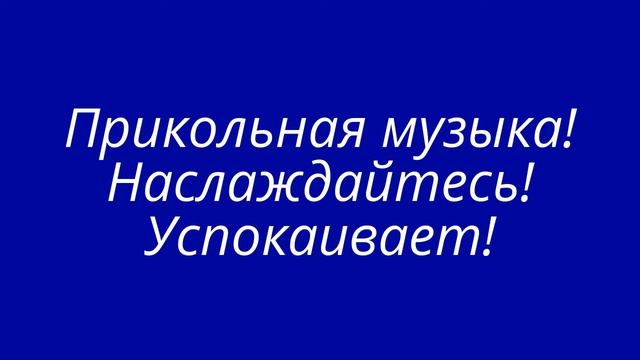 Прикольная музыка которая успокоила 5 кошек! смотреть онлайн