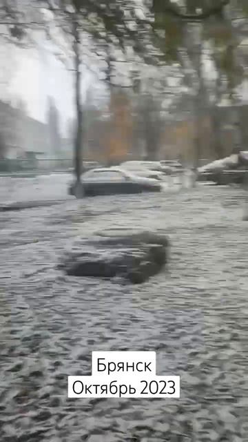 Октябрь жжёт 🔥🔥🔥#брянск #погода #первыйснег #shortvideo # смотреть онлайн