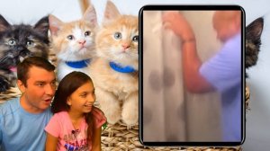 СМЕШНЫЕ 😻КОТЫ НА СВИДАНИИ в ЛАЙК и ТИКТОК! 🐶Собаки. НЕ ЗАСМЕЙСЯ ЧЕЛЛЕНДЖ Funny Cats Dogs Валеришка
